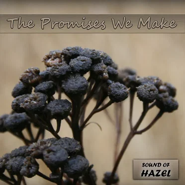 The Promises We Make by Sound of Hazel - album cover