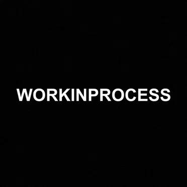 Work in Process