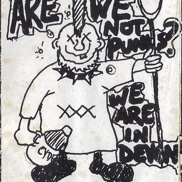 Are We Not Punks? We Are in Devon! by Various Artists - album cover