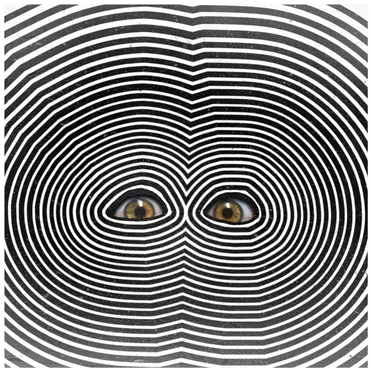 Body Songs by Circuit Circuit - album cover