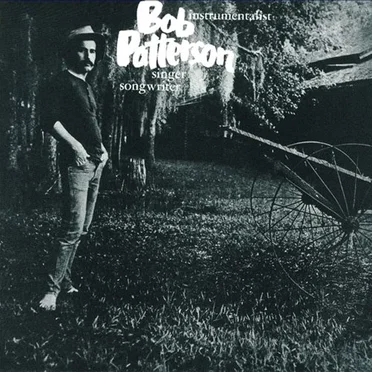 Instrumentalist, Singer, Songwriter by Bob Patterson - album cover