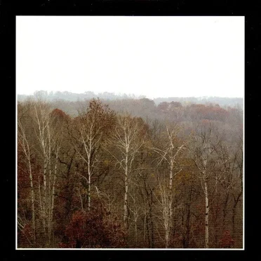 Necro Acoustic 2: Malaise