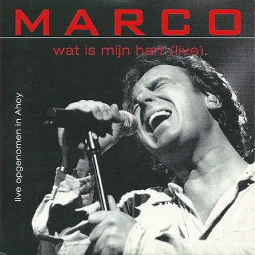 Wat is mijn hart