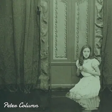 Arms Away / Hard Goodbyes by Peter Column - album cover
