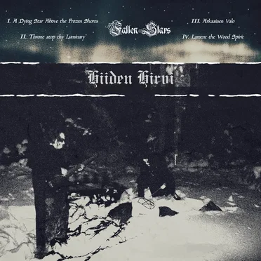 Fallen Stars by Hiiden Hirvi - album cover