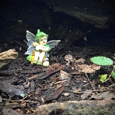 The Ferns by Homemade Costume - album cover