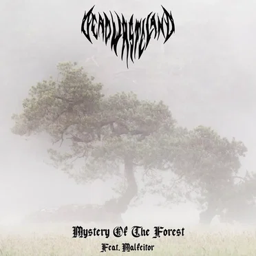 Mystery of the Forest