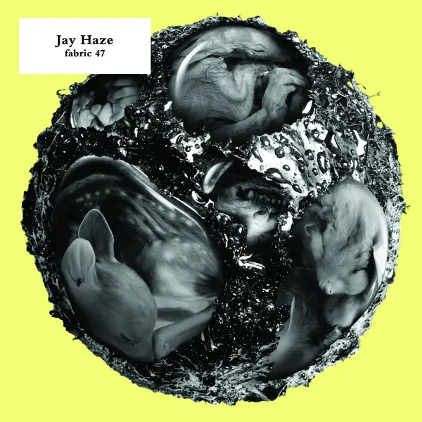 Fabric 47: Jay Haze