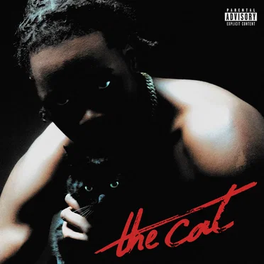 The cat by Nono La Grinta - album cover