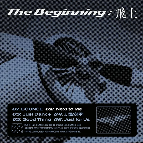 The Beginning : 飛上
