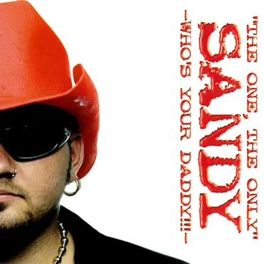 Who's Your Daddy by DJ Sandy - album cover