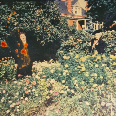 Portals in the Garden by fear of horses - album cover