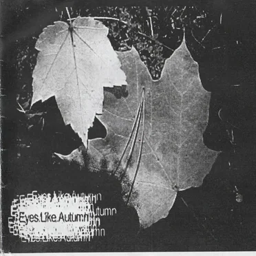 Demo 2002 by Eyes Like Autumn - album cover