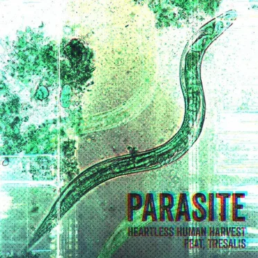 Parasite