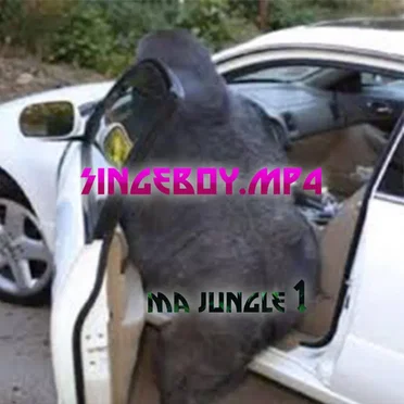 Ma Jungle 2