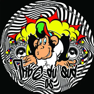 Tribe Du Sud 05 by Various Artists - album cover