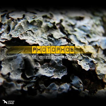 Memplex by Photophob - album cover