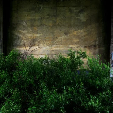 A Home