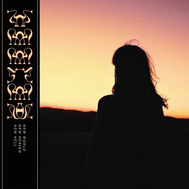 New World New Heaven New Hell by Feeler - album cover