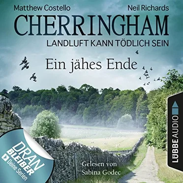 Ein jähes Ende by Matthew Costello - album cover