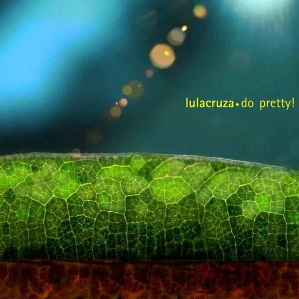 Do Pretty!