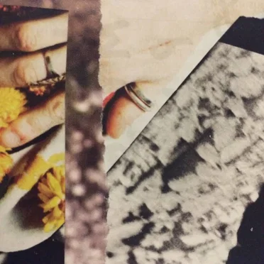 Sodium Viper / End of Wastes