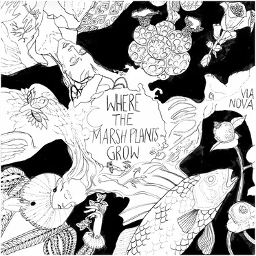 Where The Marsh Plants Grow