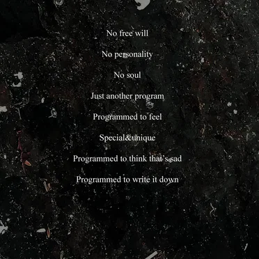 Program