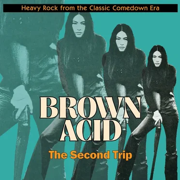 Brown Acid: The Second Trip by Various Artists - album cover