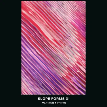 Slope Forms XI by Various Artists - album cover