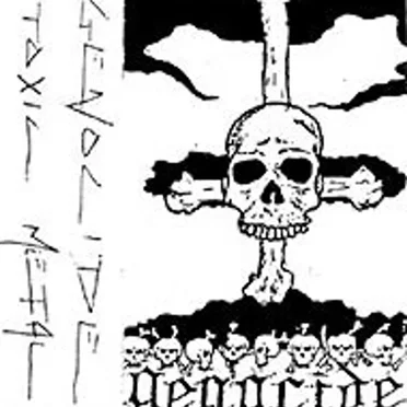 Toxic Metal