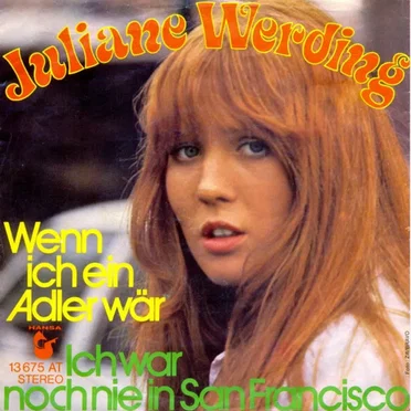 Wenn ich ein Adler wär'