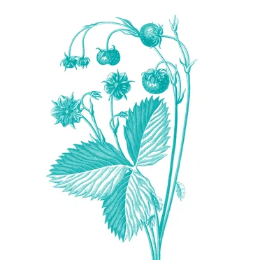 Кто остановит эту осень?