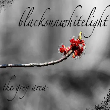 The Grey Area by blacksunwhitelight - album cover