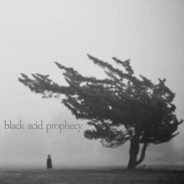 Black Acid Prophecy