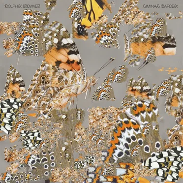 Liminal Garden by Dolphin Midwives - album cover