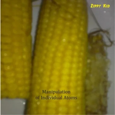 Manipulation of Individual Atoms