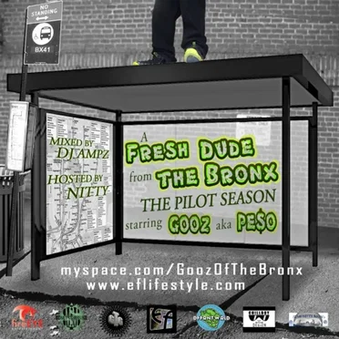 A Fresh Dude From The Bronx by Gooz - album cover
