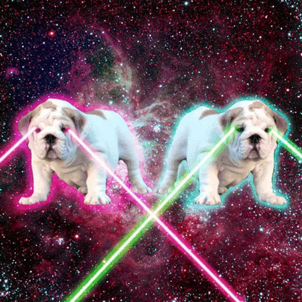 Белка / Стрелка