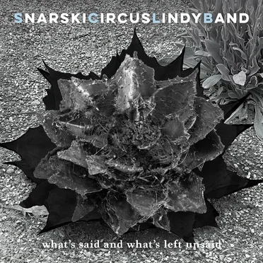 What’s Said and What’s Left Unsaid