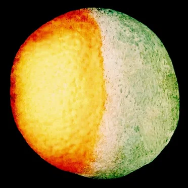 Mind the Oranges, Marlon