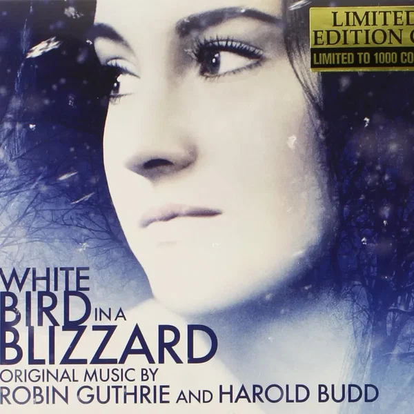 White Bird in a Blizzard