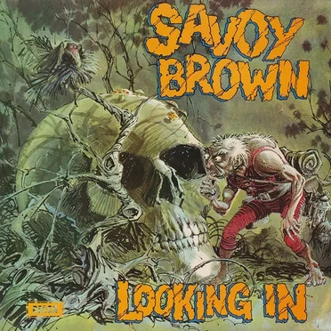 Looking In