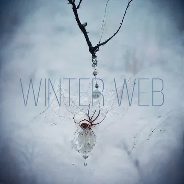 Winter Web