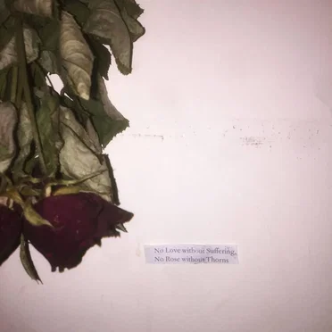 No Love without Suffering, No Rose without Thorns by Flesh of the Womb - album cover