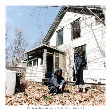 Beats for Brothels, Volume 3.5 by The Doppelgangaz - album cover