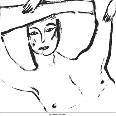 The Wink by Tim Presley - album cover