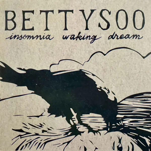 Insomnia Waking Dream