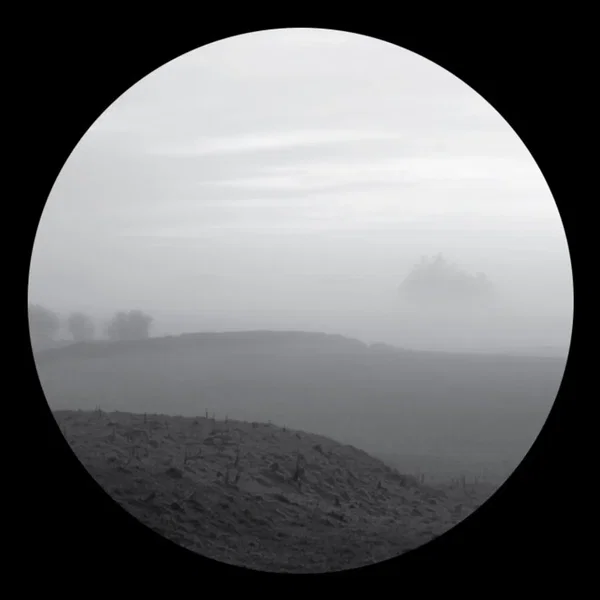 Blank Slate 010