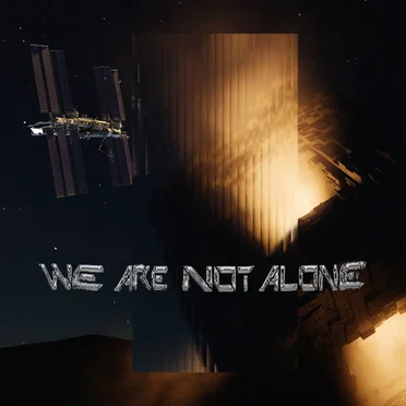 We Are Not Alone, Pt. 8 by Various Artists - album cover